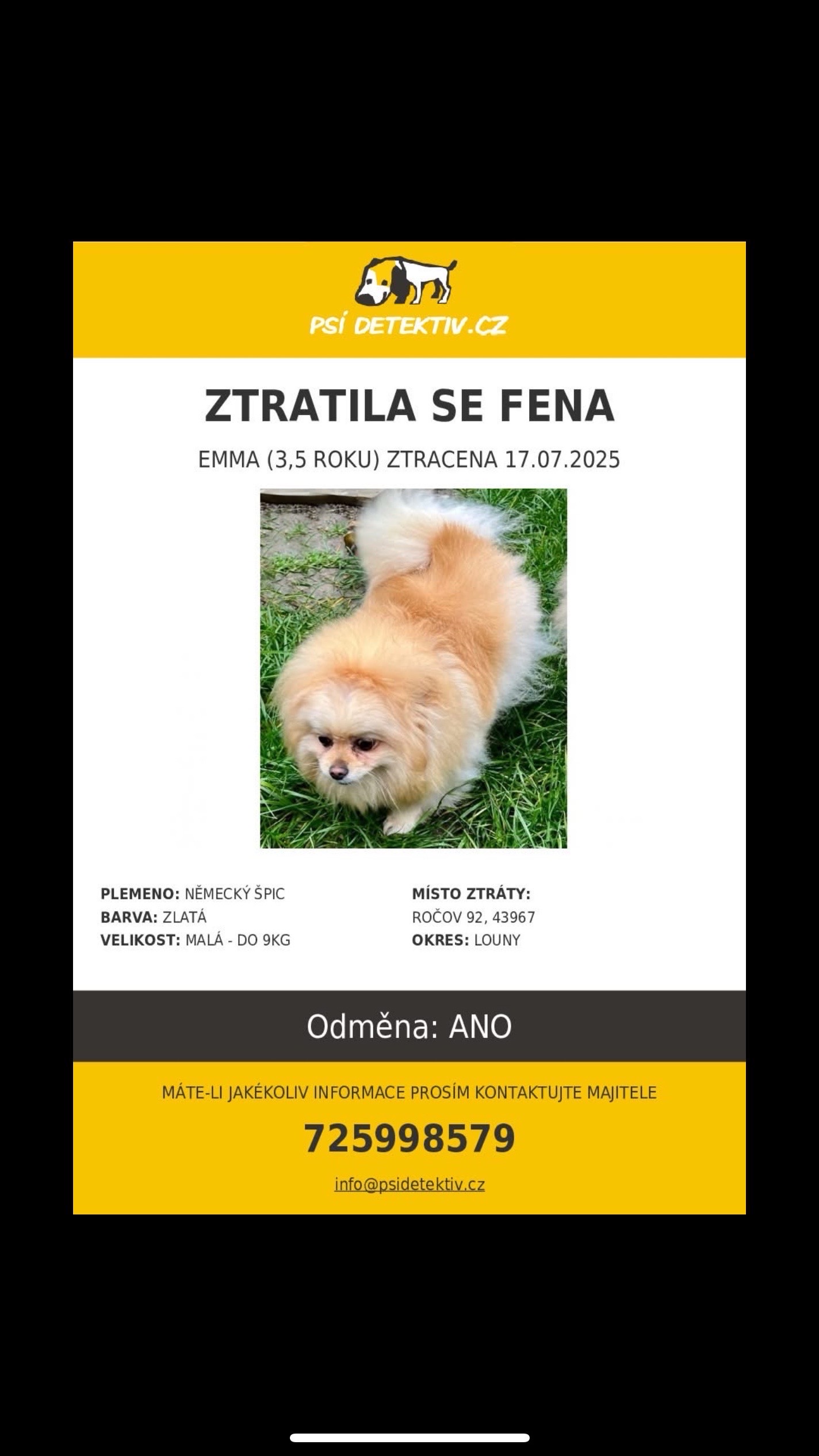 Hledaný pes