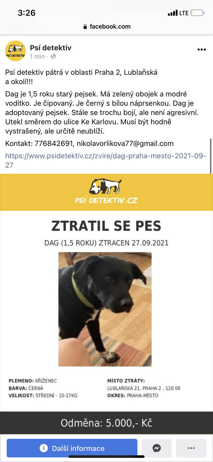 Hledaný pes