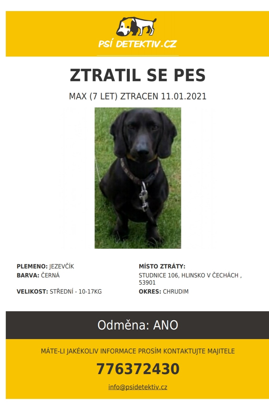 Hledaný pes